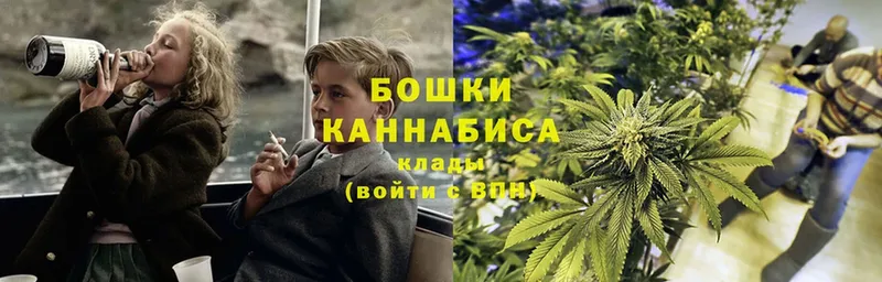 Бошки Шишки Amnesia  Высоцк 